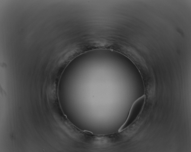 X0000091000376200708021606