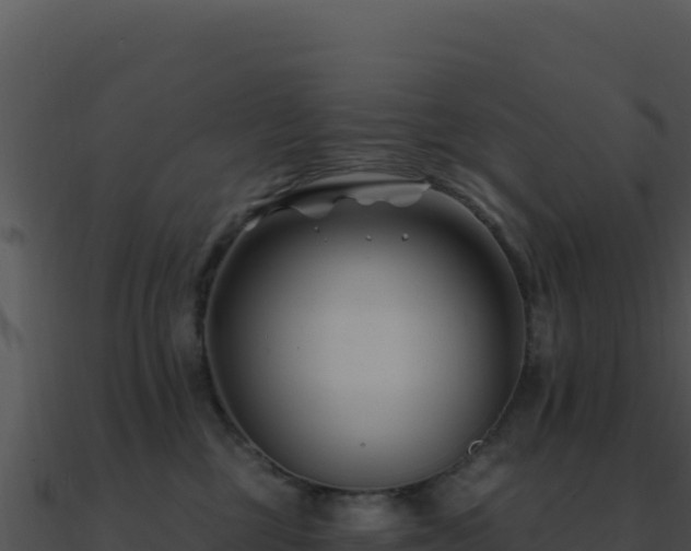 X0000091000377200708021606