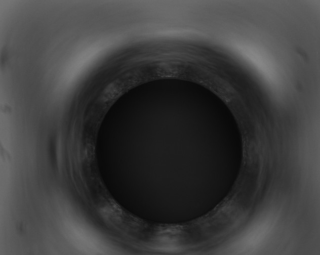 X0000091000382200708021606