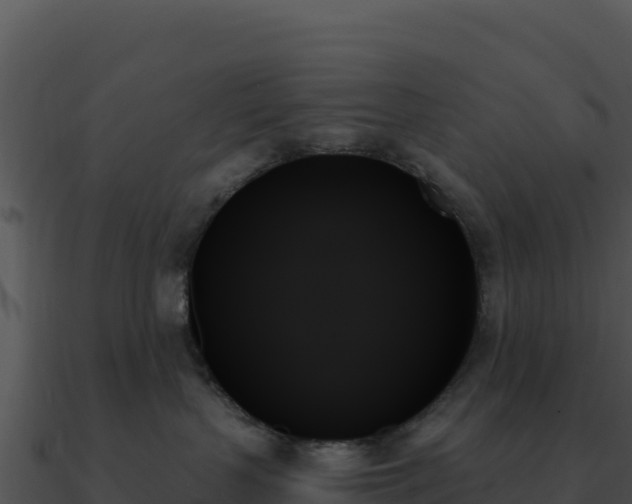 X0000091000383200708021606