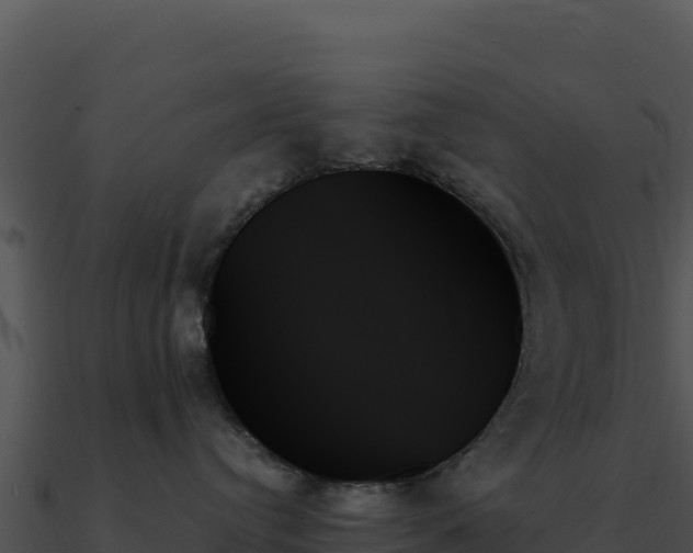 X0000091000384200708021606