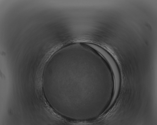 X0000091000385200708021605