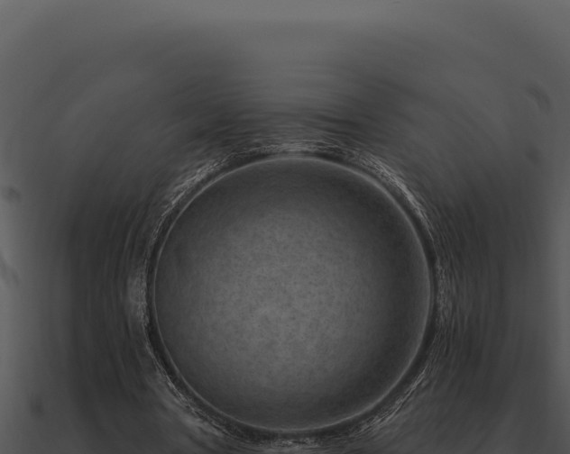 X0000091000386200708021605