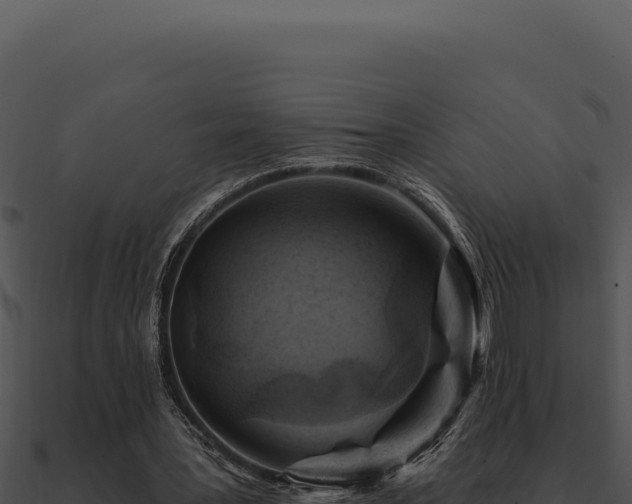 X0000091000387200708021605