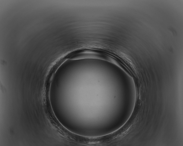 X0000091000388200708021605
