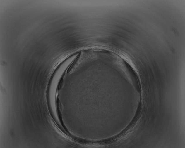 X0000091000389200708021605