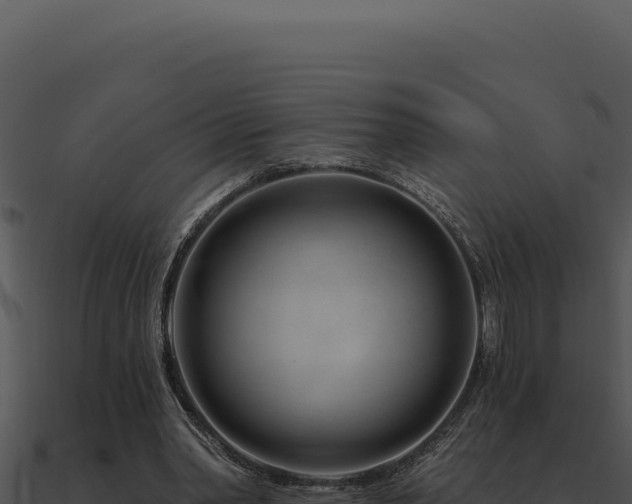 X0000091000390200708021605