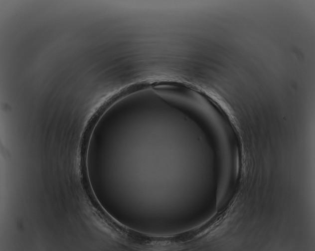 X0000091000391200708021605
