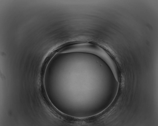 X0000091000392200708021605