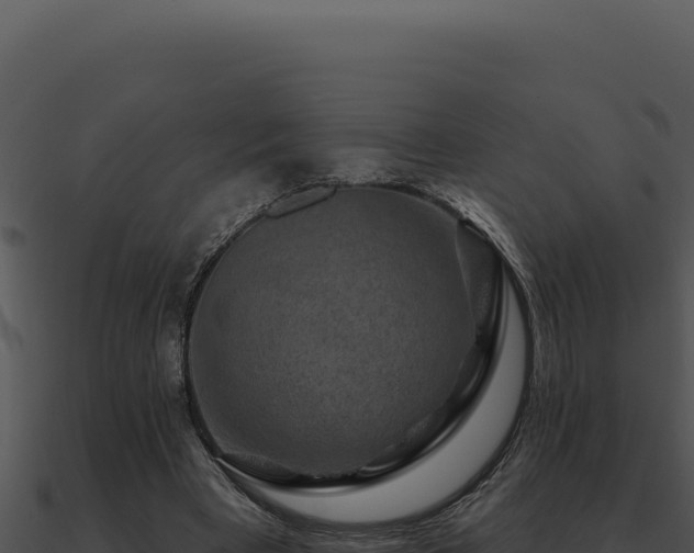 X0000091000393200708021605