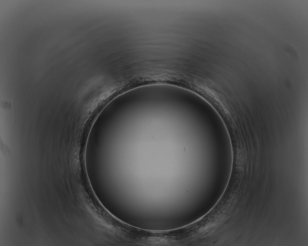 X0000091000394200708021605