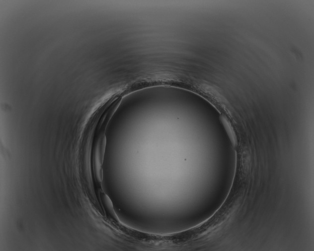 X0000091000395200708021605