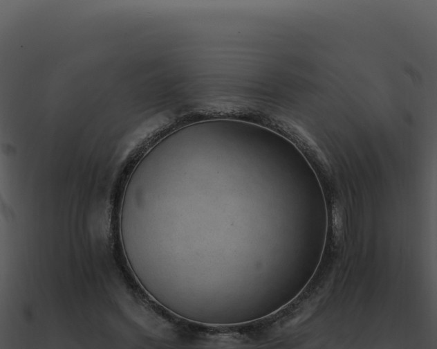 X0000091000396200708021605