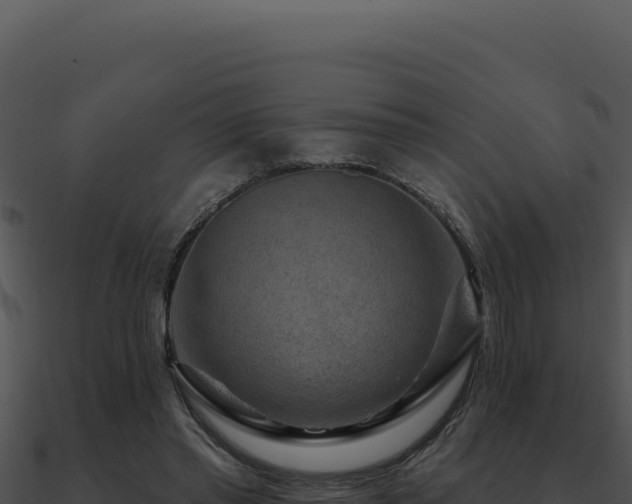 X0000091000397200708021605