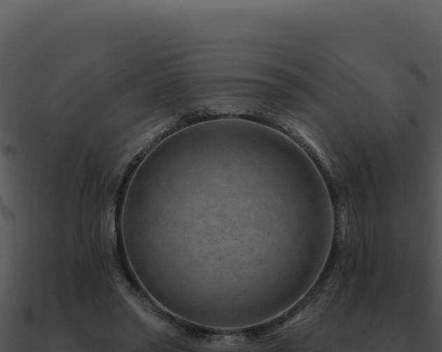 X0000091000398200708021605