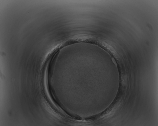 X0000091000399200708021605