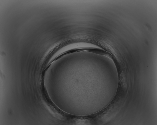 X0000091000400200708021605