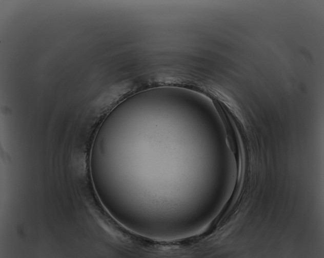 X0000091000401200708021605