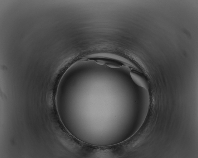 X0000091000403200708021605