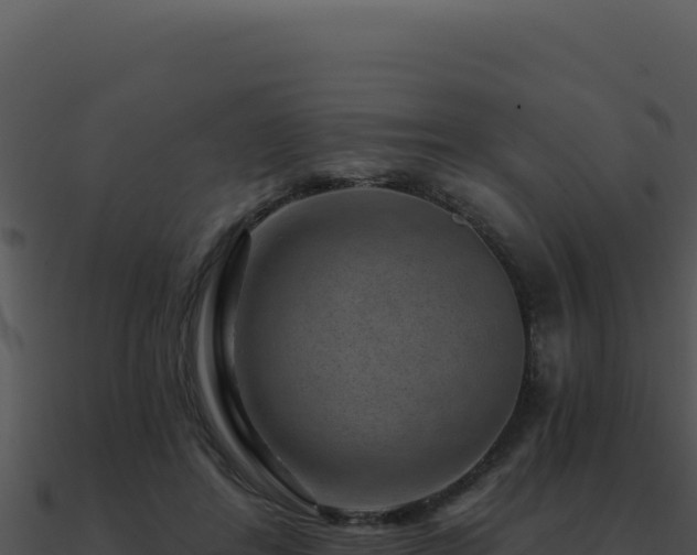 X0000091000404200708021605