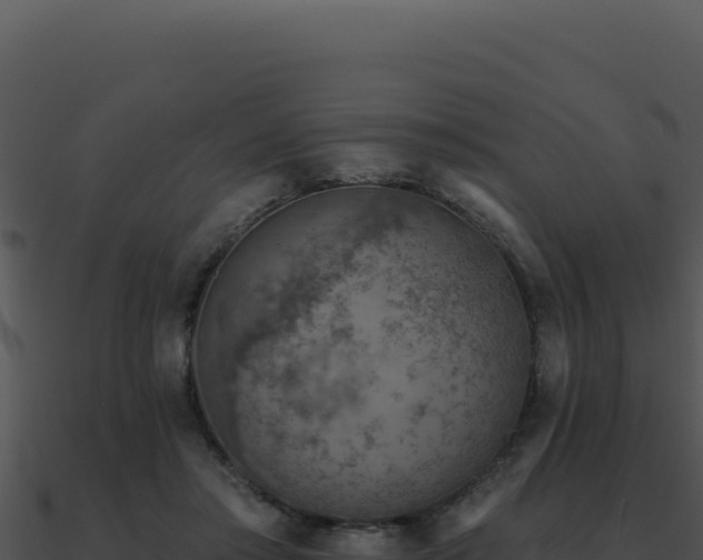 X0000091000405200708021605