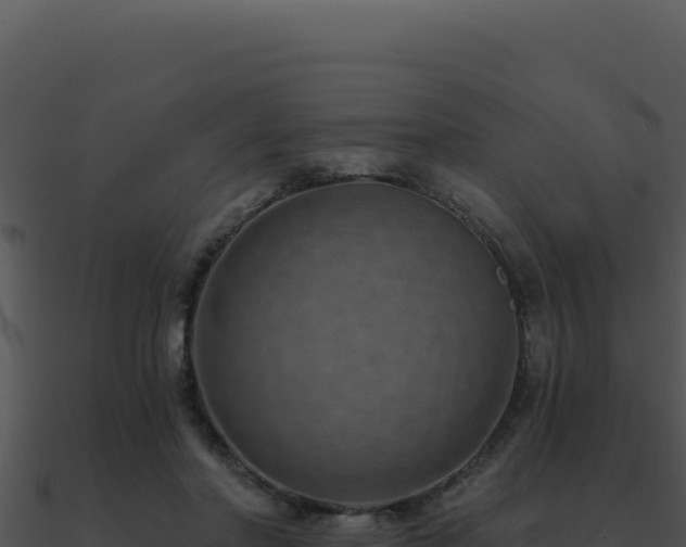 X0000091000406200708021605