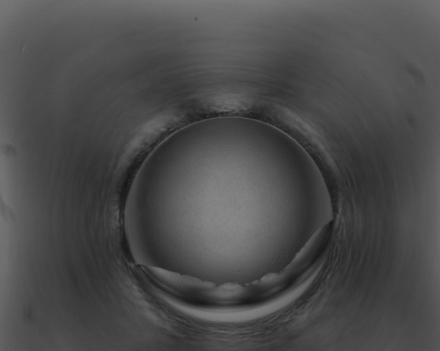 X0000091000407200708021605