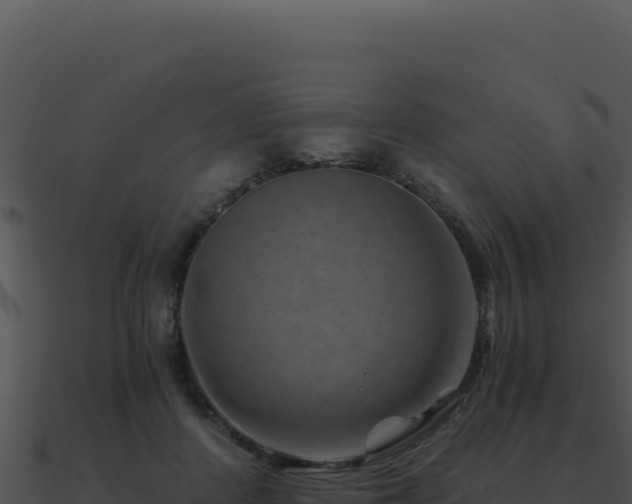 X0000091000408200708021605