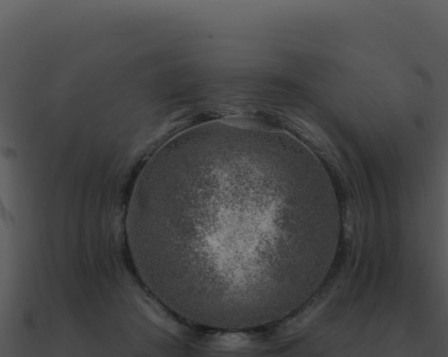 X0000091000409200708021605