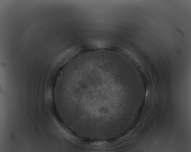 X0000091000410200708021605