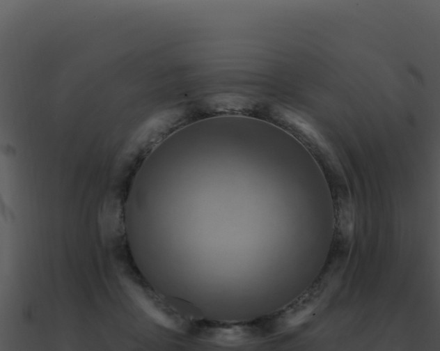 X0000091000411200708021605