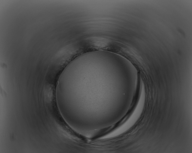 X0000091000412200708021605