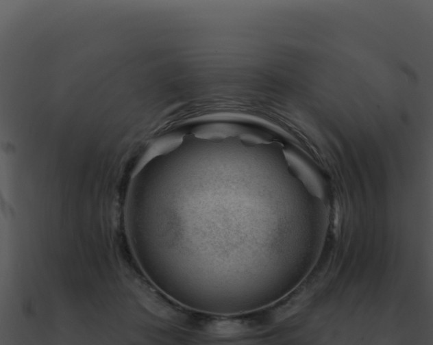 X0000091000413200708021605