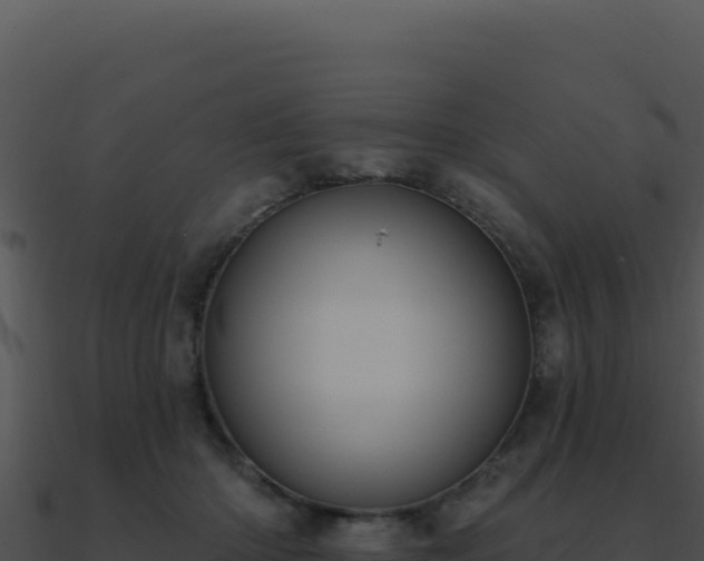 X0000091000414200708021605