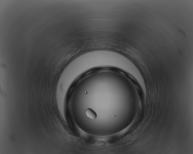 X0000091000415200708021605