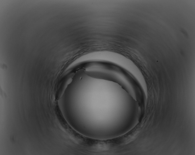 X0000091000416200708021605