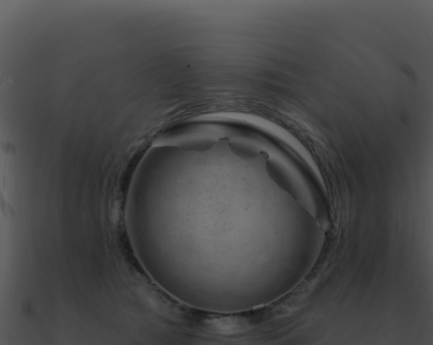 X0000091000417200708021605
