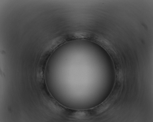 X0000091000418200708021605