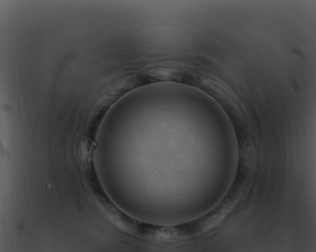 X0000091000420200708021605