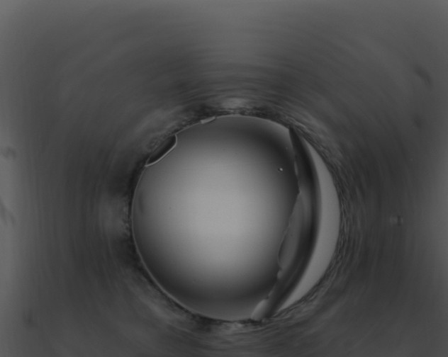 X0000091000421200708021605