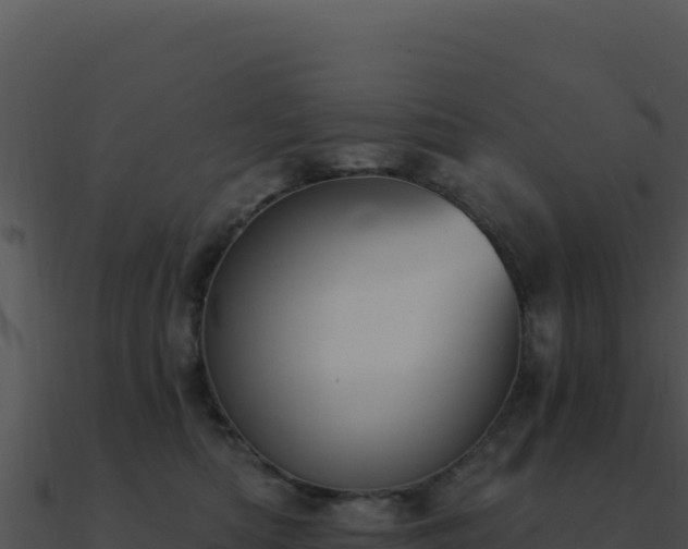 X0000091000422200708021605