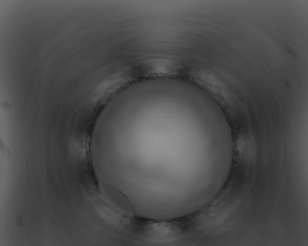 X0000091000423200708021605