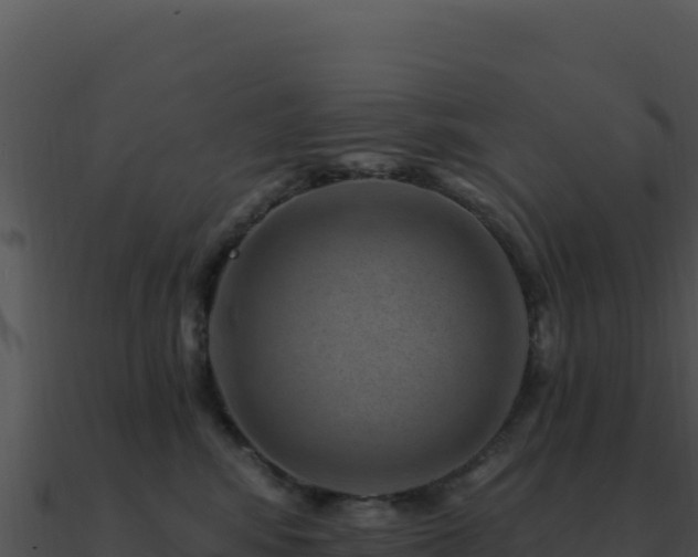 X0000091000424200708021605