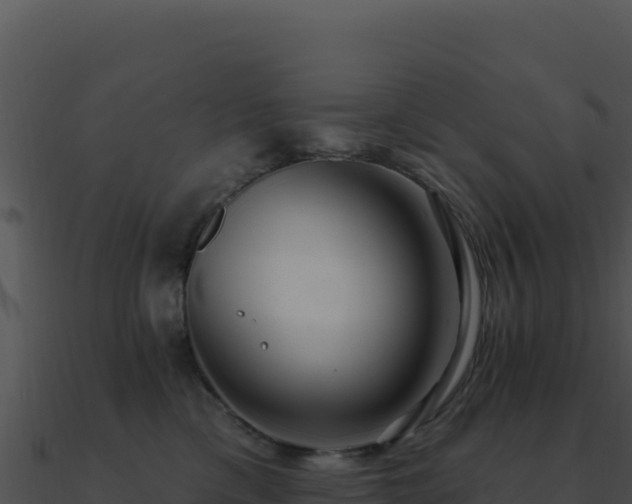 X0000091000425200708021605
