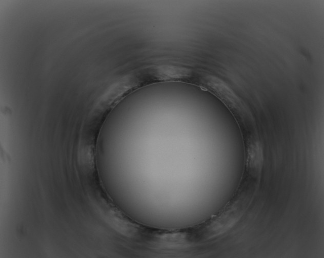 X0000091000426200708021604