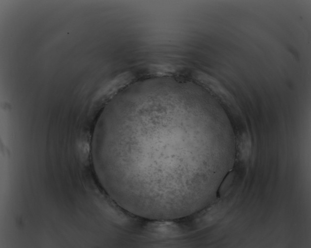 X0000091000427200708021604
