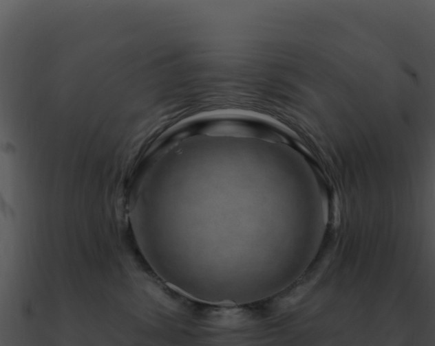 X0000091000428200708021604