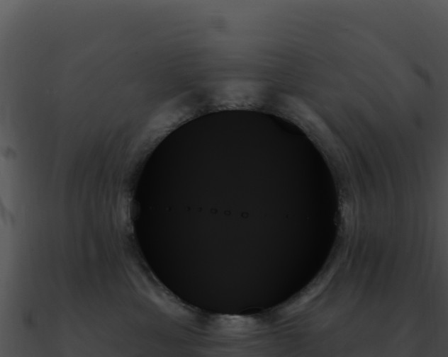 X0000091000429200708021604