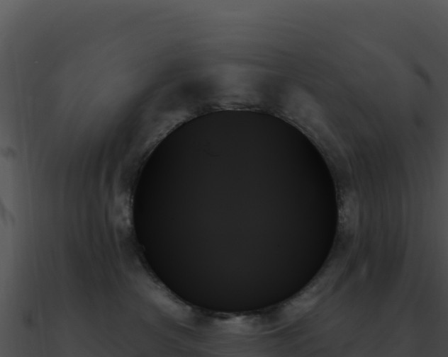 X0000091000430200708021604