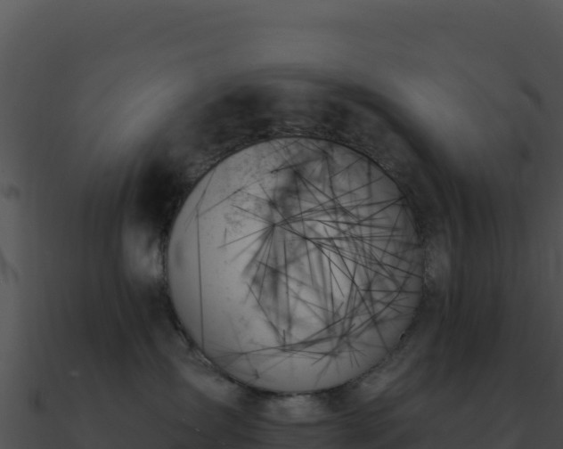 X0000091000431200708021604